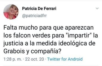 El polémico posteo de Patricia De Ferrari, Vicepresidente del Comité Provincia UCR