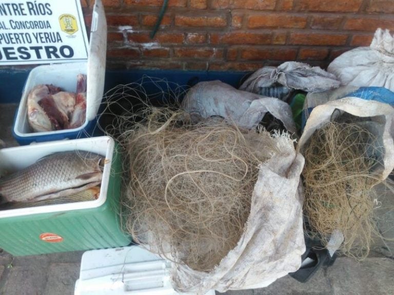 Los tres hombres llevaban dos carpinchos, un ciervo, veinte sábalos y cinco dorados