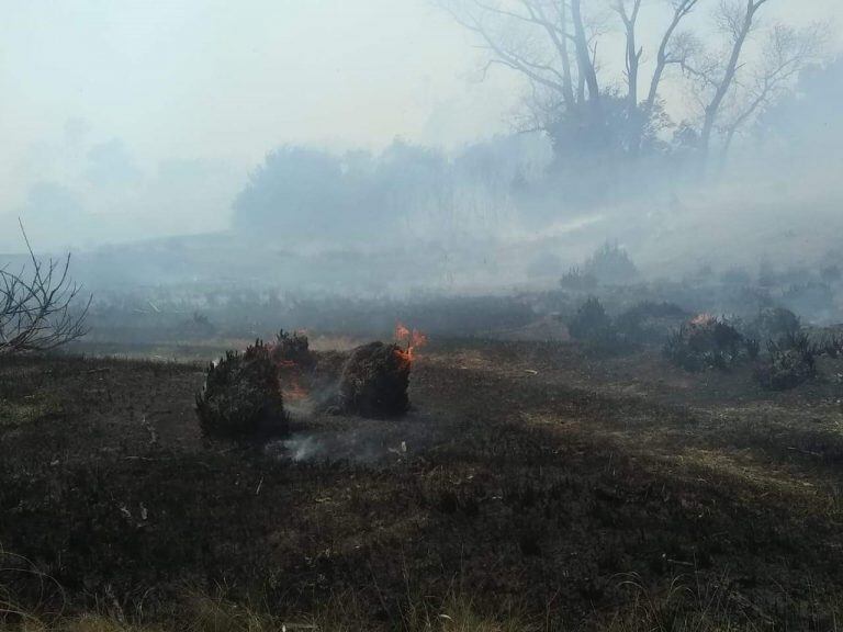 Incendio Claromecó