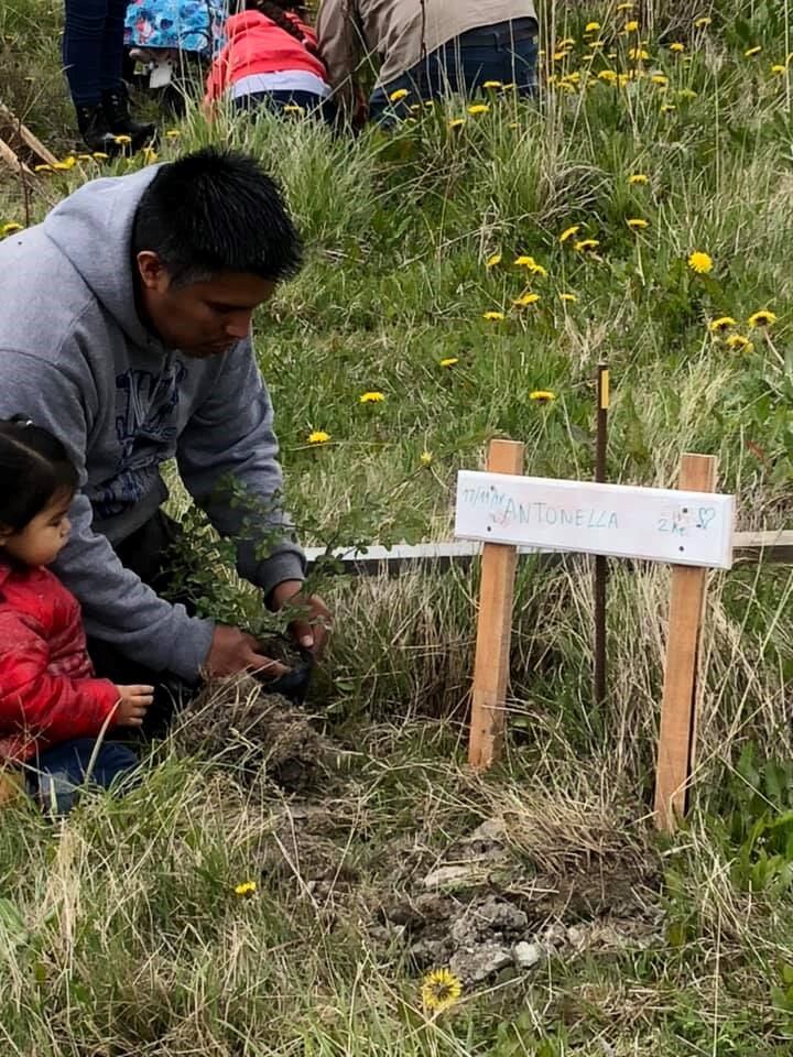 Semana del Prematuro - Fundación ABE