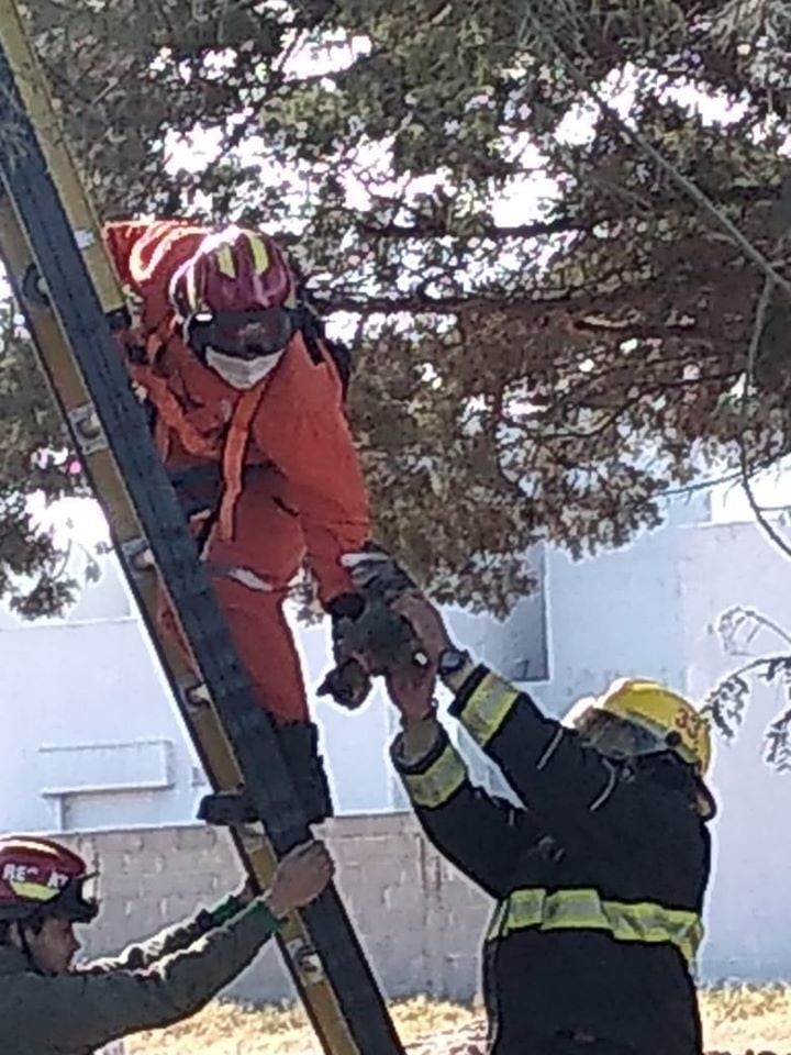 Rescate de una gatita por Bomberos Voluntarios Arroyito