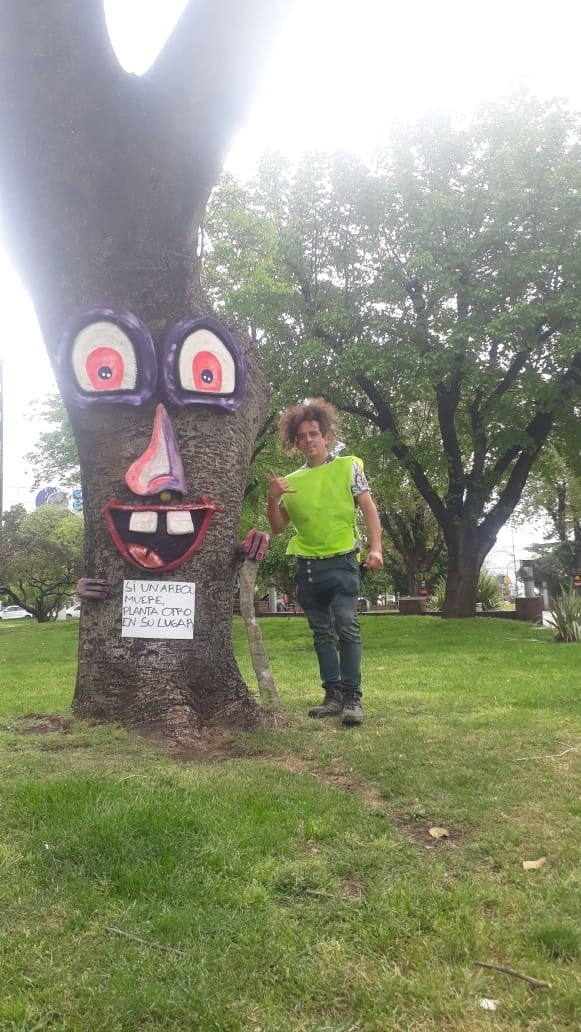 Intervención de árboles en la plaza San Martín