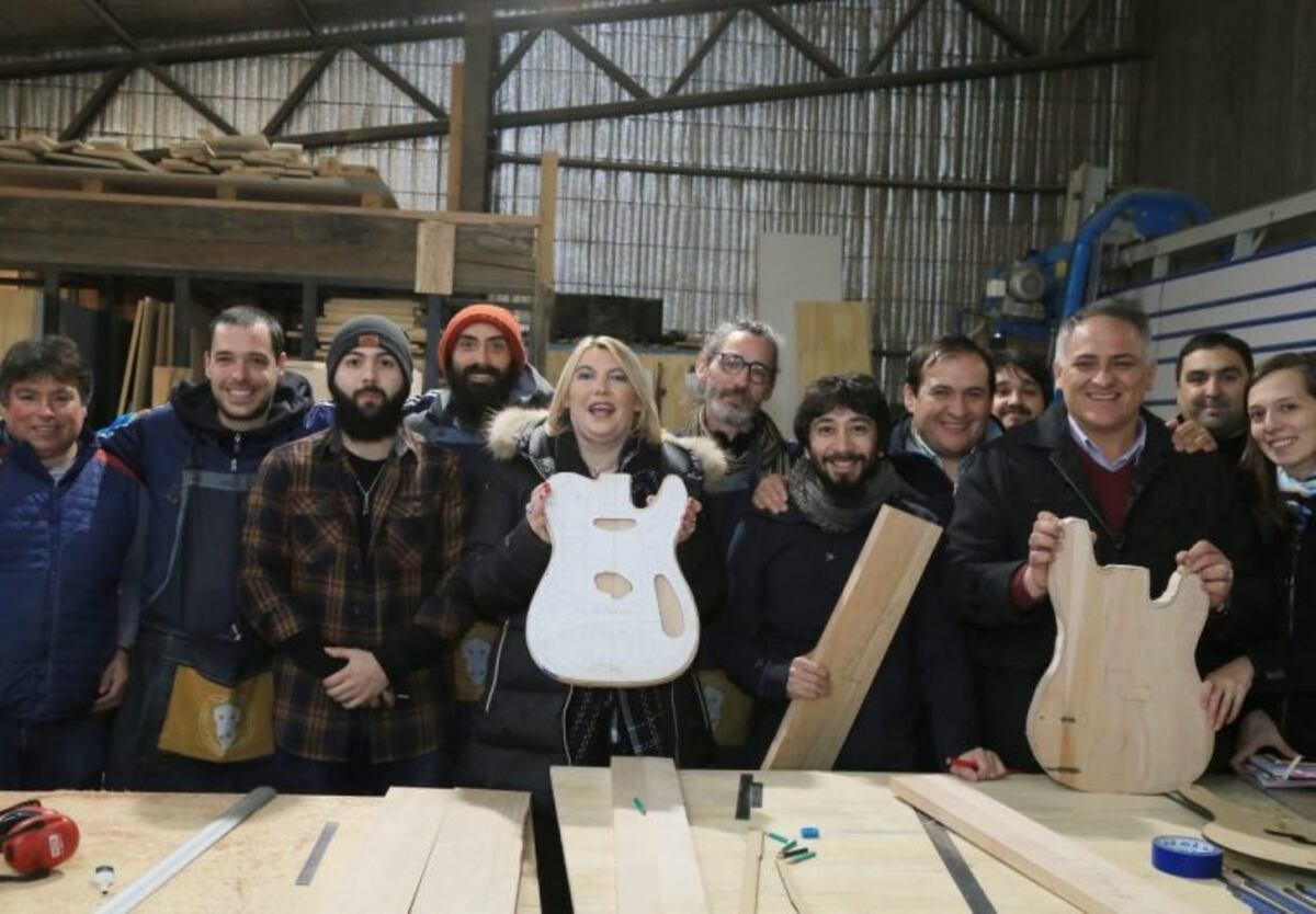 El gobierno impulsa la fabricación de instrumentos musicales con madera de lenga