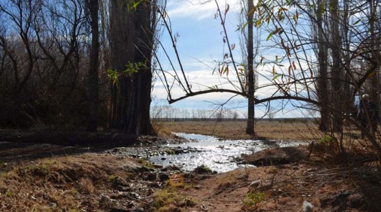 La isla está rodeada del atractivo de la naturaleza (Luis Oga)