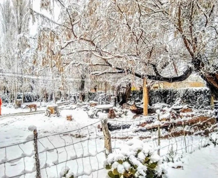 La nieve sorprendió a los habitantes de la zona cordillerana y precordillerana.