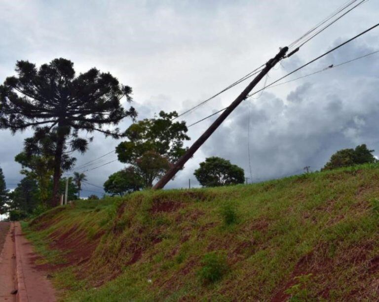 Caídas en el tendido eléctrico de San Pedro. (Foto: Carina Martinez)