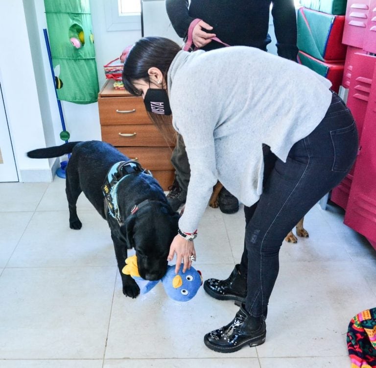 Terapia asistida con perros (TAP) - Ushuaia.