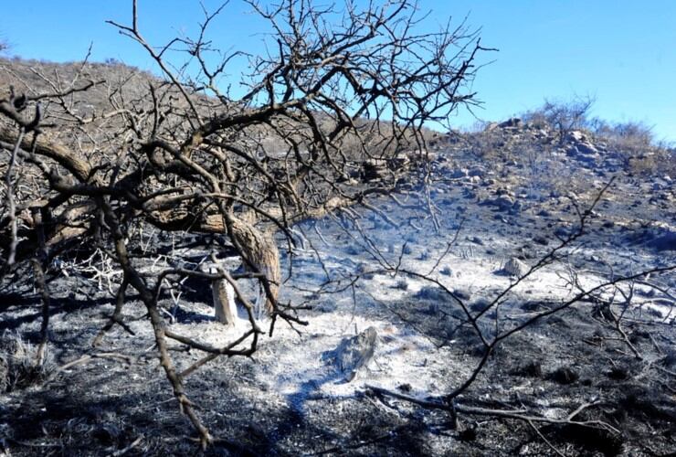 Después de los incendios forestales en San Luis.