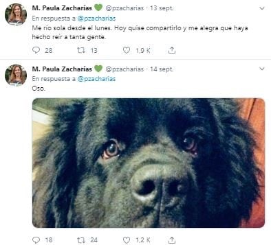 Paula Zacharías, la mamá de Julia, mostró a "Oso", el otro protagonista del dibujo.  (Foto: Captura Twitter)