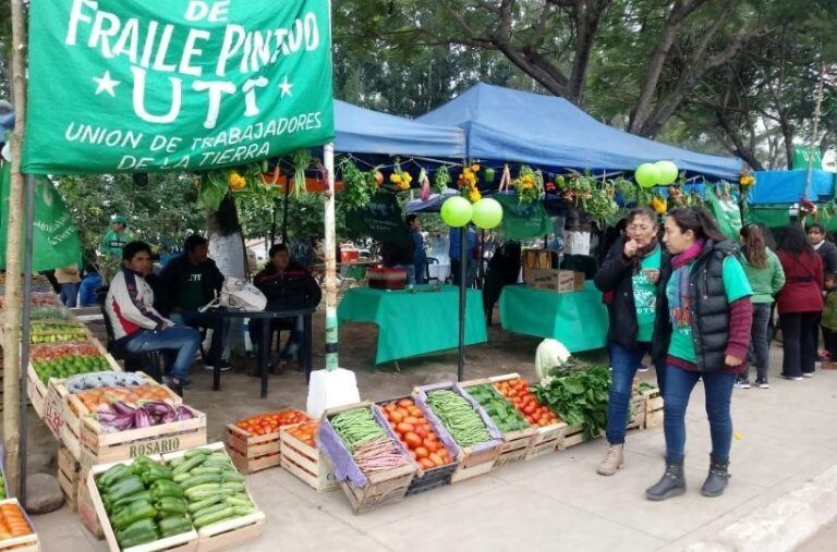 Un cajón de tomates debería costar entre 400 y 500 pesos, pero se vende entre 200 y 250 pesos, según la organización Unión de Trabajadores de la  Tierra.