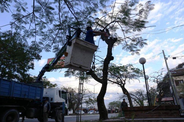 Operativos de limpieza y de atención sanitaria de mascotas fueron los que desplegó el municipio. (Prensa Municipalidad de Resistencia)