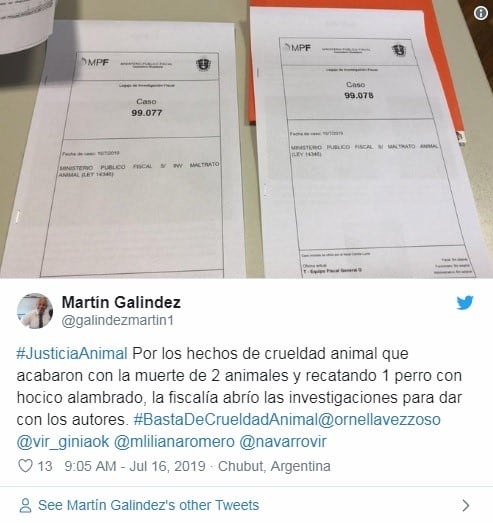 Martín Galindez, perfil de Twitter