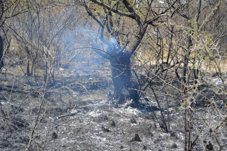 Incendio en el camino de Los Artesanos