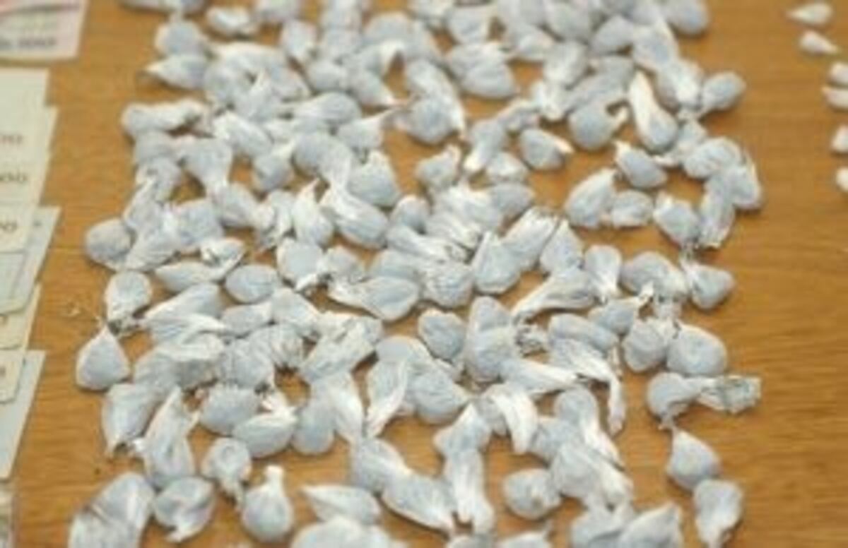 Desarmaron una red de tráfico de drogas en Salta