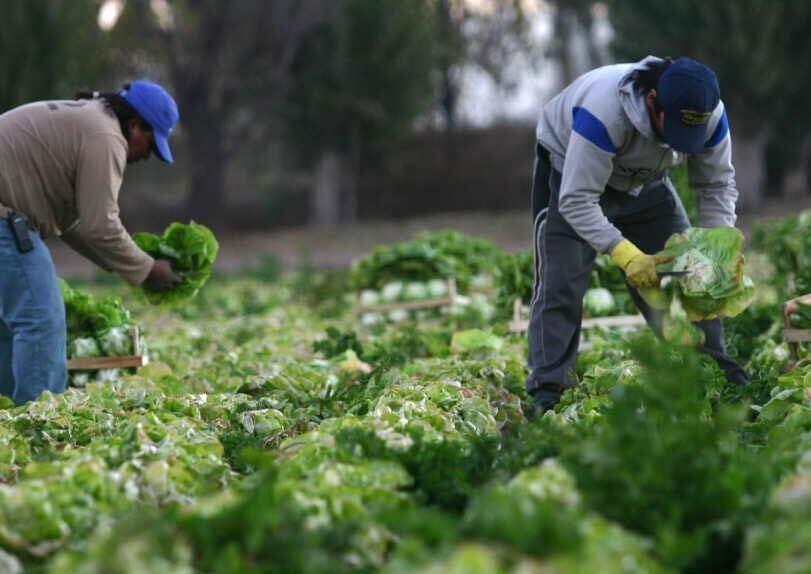 Productores agropecuarios sostienen que se les debe disminuir las retenciones.