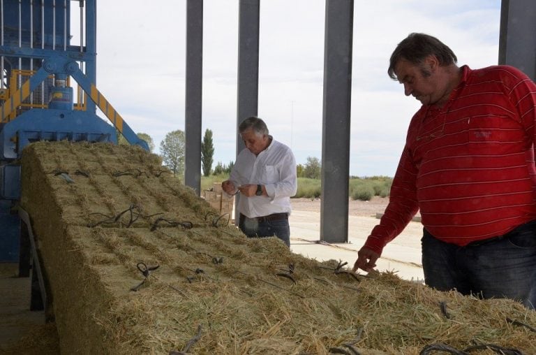 Los funcionarios observaron la producción (Gobierno de La Pampa)