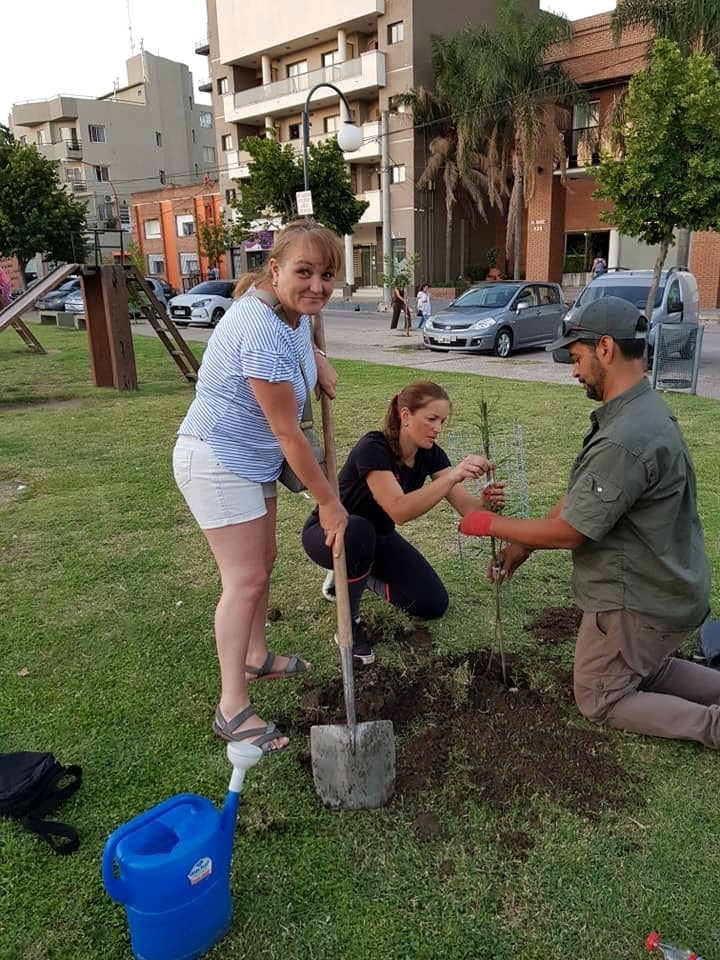 Entrega de árboles nativos