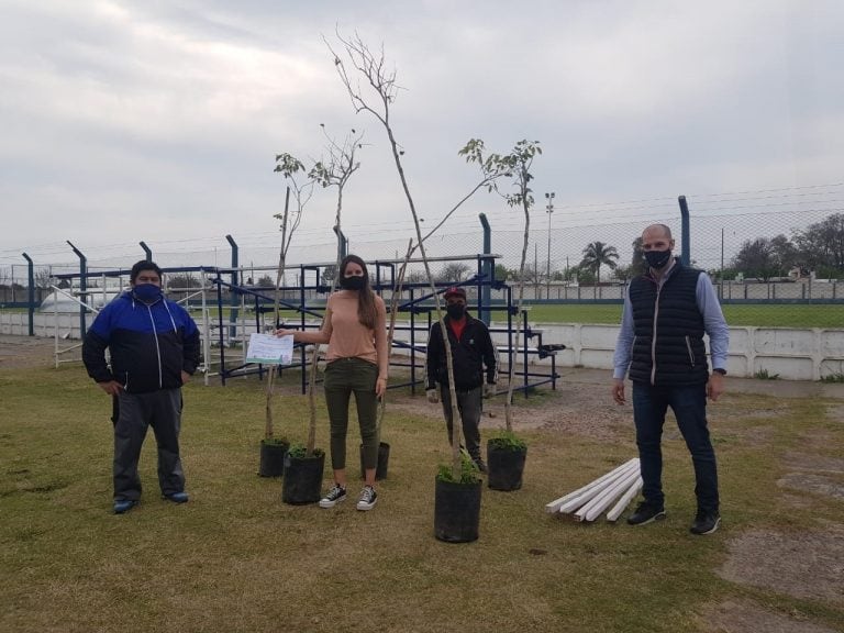 Entrega de árboles a clubes