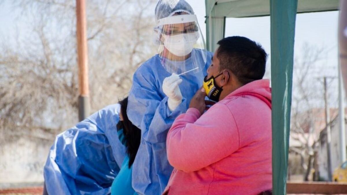 Coronavirus en Jujuy: descomunal pico de contagios con 254 nuevos casos