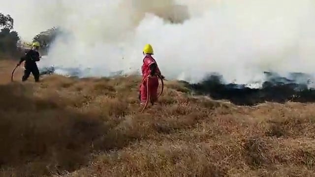 Incendio de pastizales en el oeste de la ciudad (Rafaela Noticias)