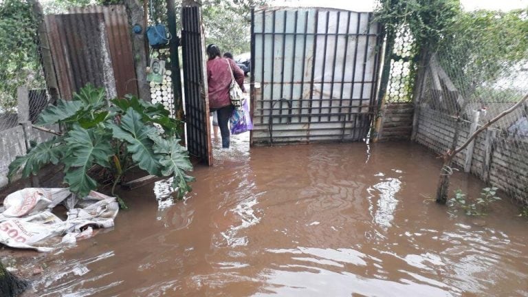 El agua avanzó sobre el predio de la protectora Sarmiento en Zavalla. (Facebook)