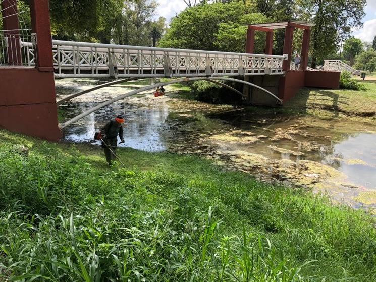 La Municipalidad comenzó a trabajar con las algas del lago del Parque Sarmiento. (Municipalidad de Córdoba)