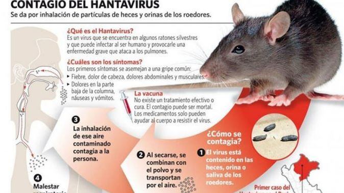 Hantavirus