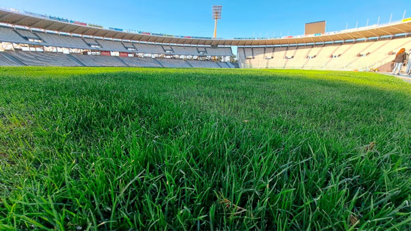 El césped del Mario Alberto Kempes este viernes 19 de abril.