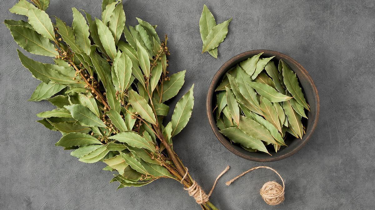 El Feng Shui sostiene que la hoja de laurel brinda abundancia y éxito.