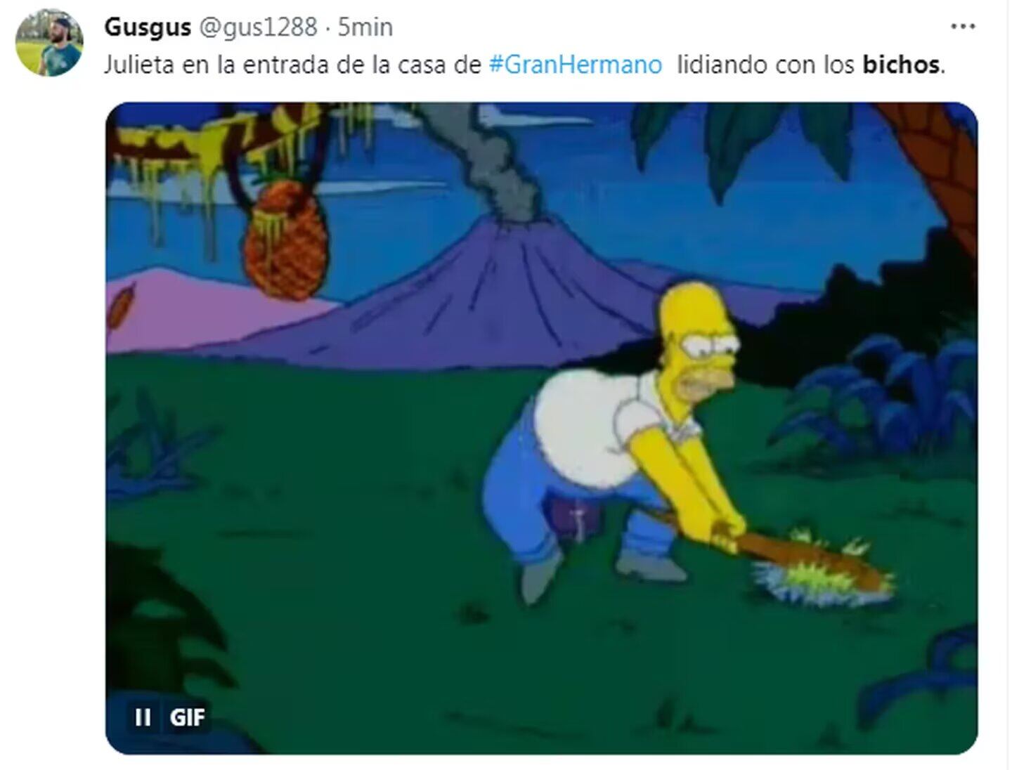 Los mejores memes de Gran Hermano