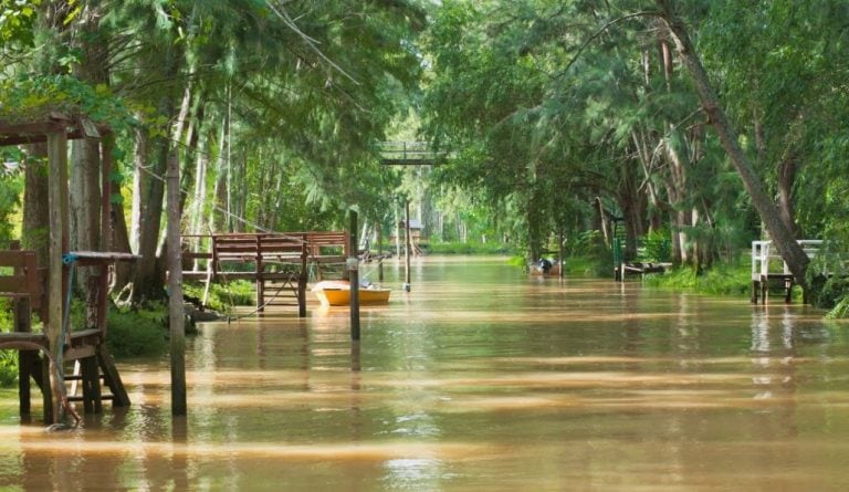 Delta del Río Paraná, Tigre (Foto: imagen ilustrativa/web)