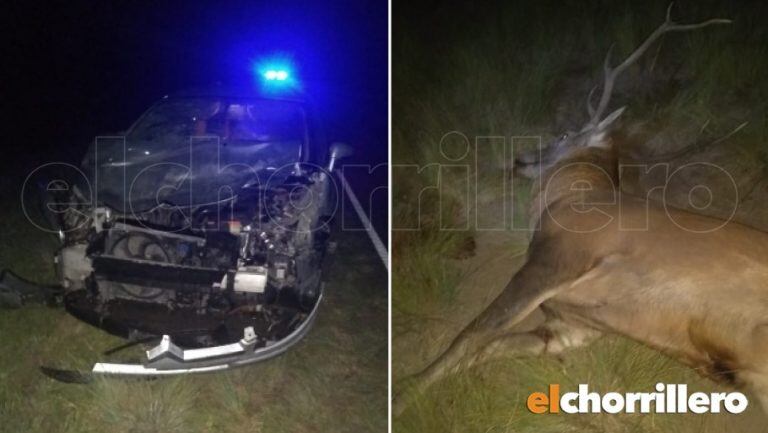 El accidente ocurrió esta madrugada sobre la Autopista 55 cerca de Nueva Galia.