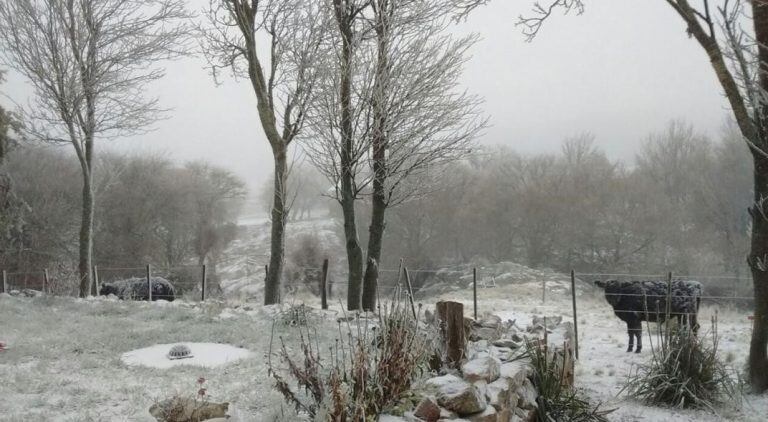 Nevó en las Altas Cumbres