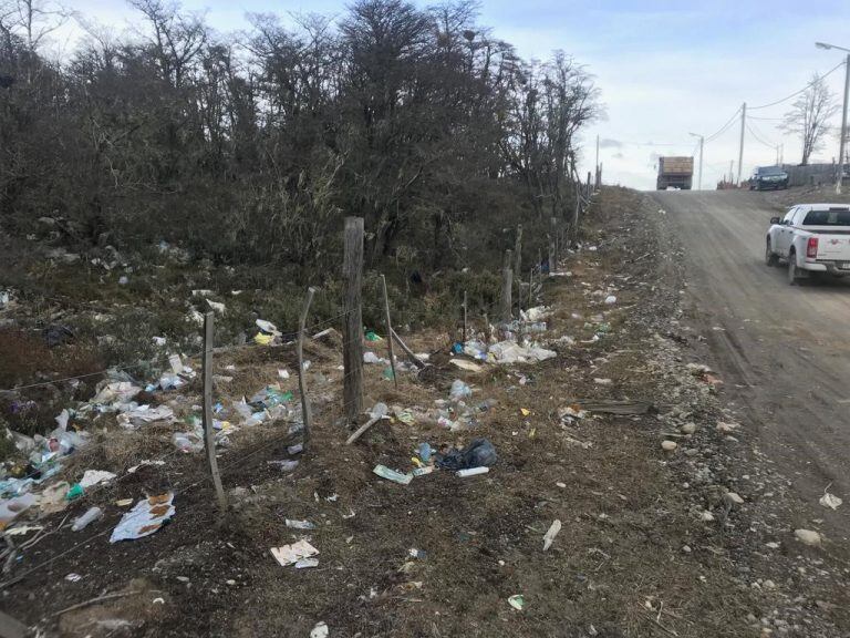 Hallazgo de animales muertos en un predio municipal de Tolhuin