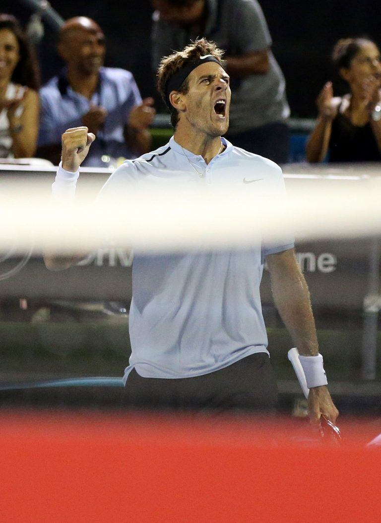 Del Potro se metió en la final de Auckland. (Foto: AFP)