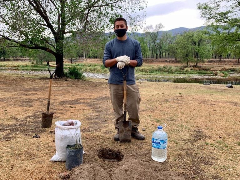 Se entregaron 3 mil plantas para reforestar Punilla