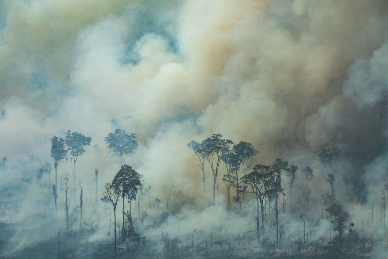 La Amazonía brasileña perdió 9.762 kilómetros cuadrado.