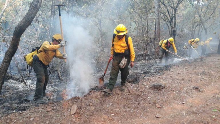 Incendio que consumió 60 hectáreas en Tepoztlán.