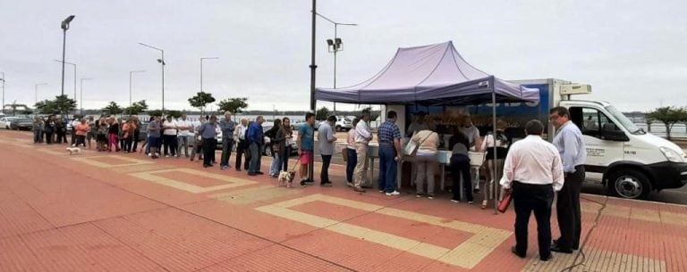 Pescado de mar trasladado y vendido en Posadas por una cooperativa marplatense. (Misiones Online)