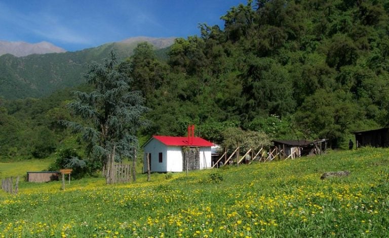 Parque Nacional Campo de los Alisos. Tucumán. (Web).