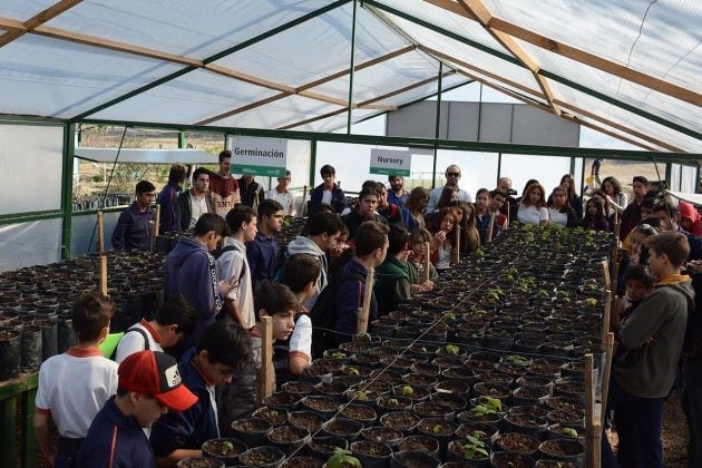 Alumnos de las escuelas generativas aprendieron sobre árboles y plantas autóctonas de San Luis.