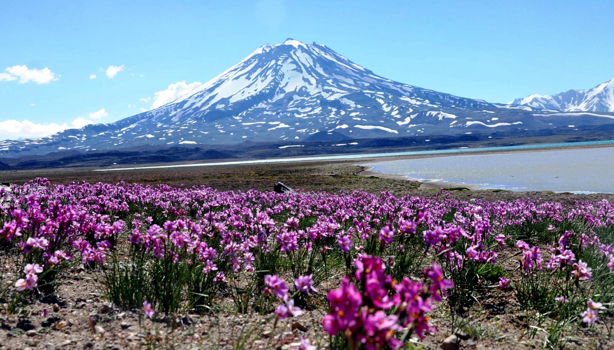 Laguna del Diamante, la reserva de naturaleza