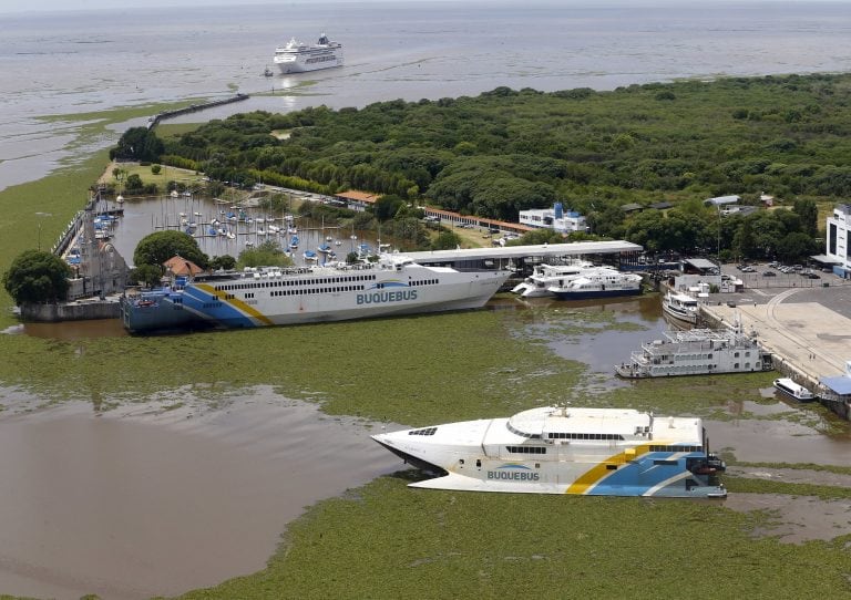 El interventor general de puertos, Gonzalo Mórtola, resolvió bonificar en 50% el valor de las tasas desde el 1 de noviembre hasta el 29 de febrero de 2020 (Foto: archivo)