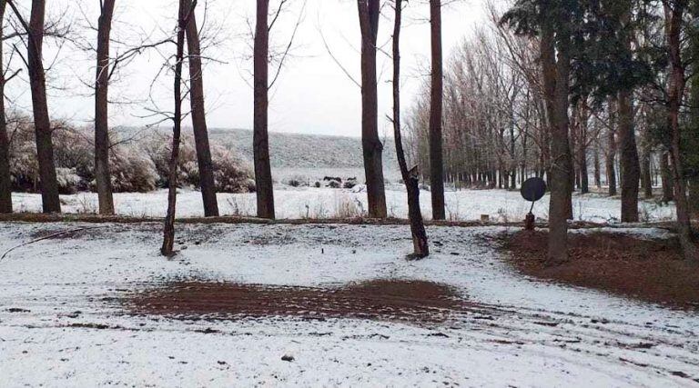 Nevadas en el noroeste pampeano (Vázquez)