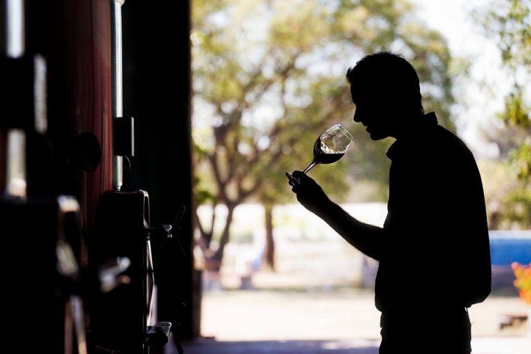 Foto ilustrativa: "los caminos del vino en Córdoba"