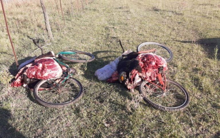 El animal faenado en medio del campo y las bicicletas.