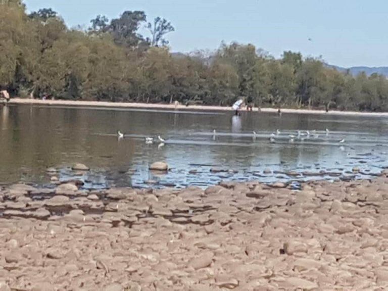 Bagayeros bolivianos cruzando la frontera cuando y por donde quieren.