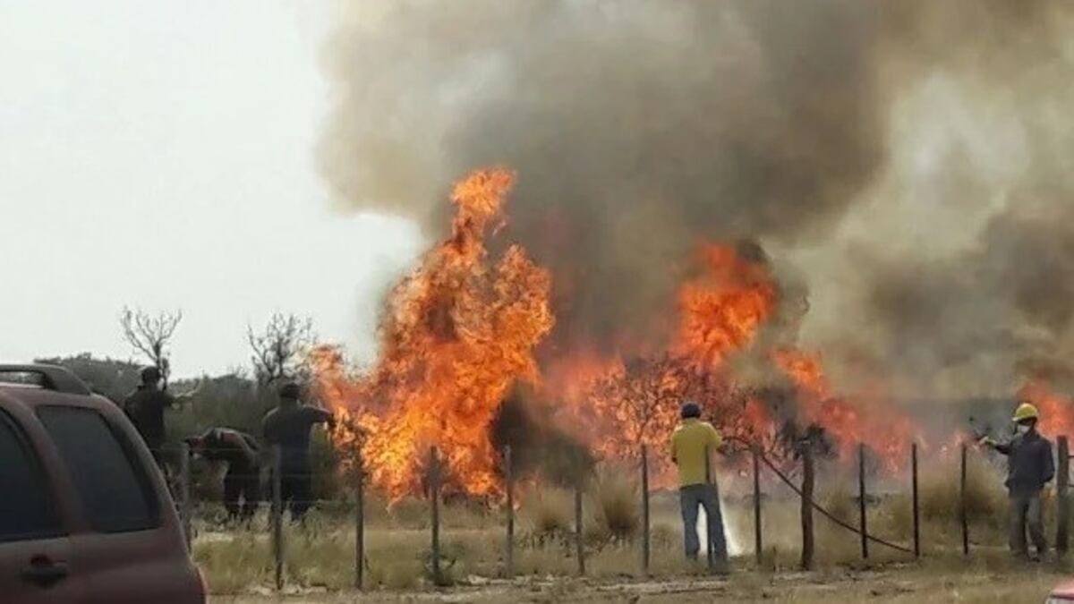 Una sola empresa interesada en construir las bases para combatir incendios forestales