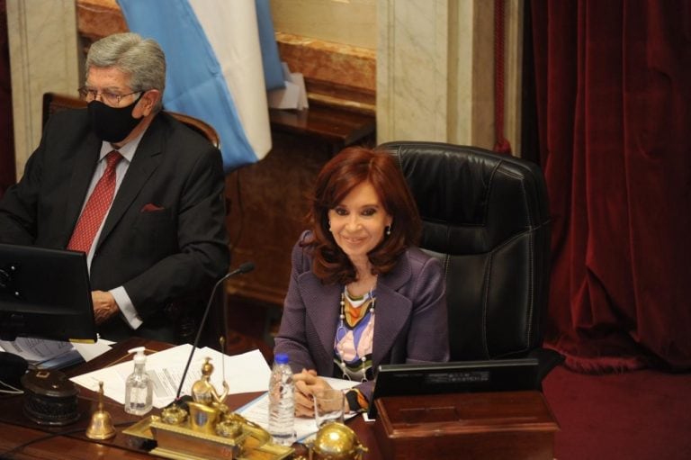 Sesión en el Senado. (Foto: Federico Lopez Claro)