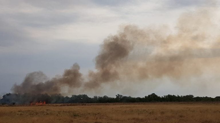 Indignante: prendieron fuego a un perro y se originó un incendio